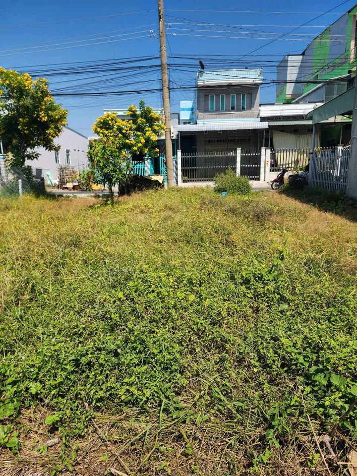 Đất nền Tân An, Tân Châu 192m² giá chỉ 900 triệu - Sổ đỏ chính chủ