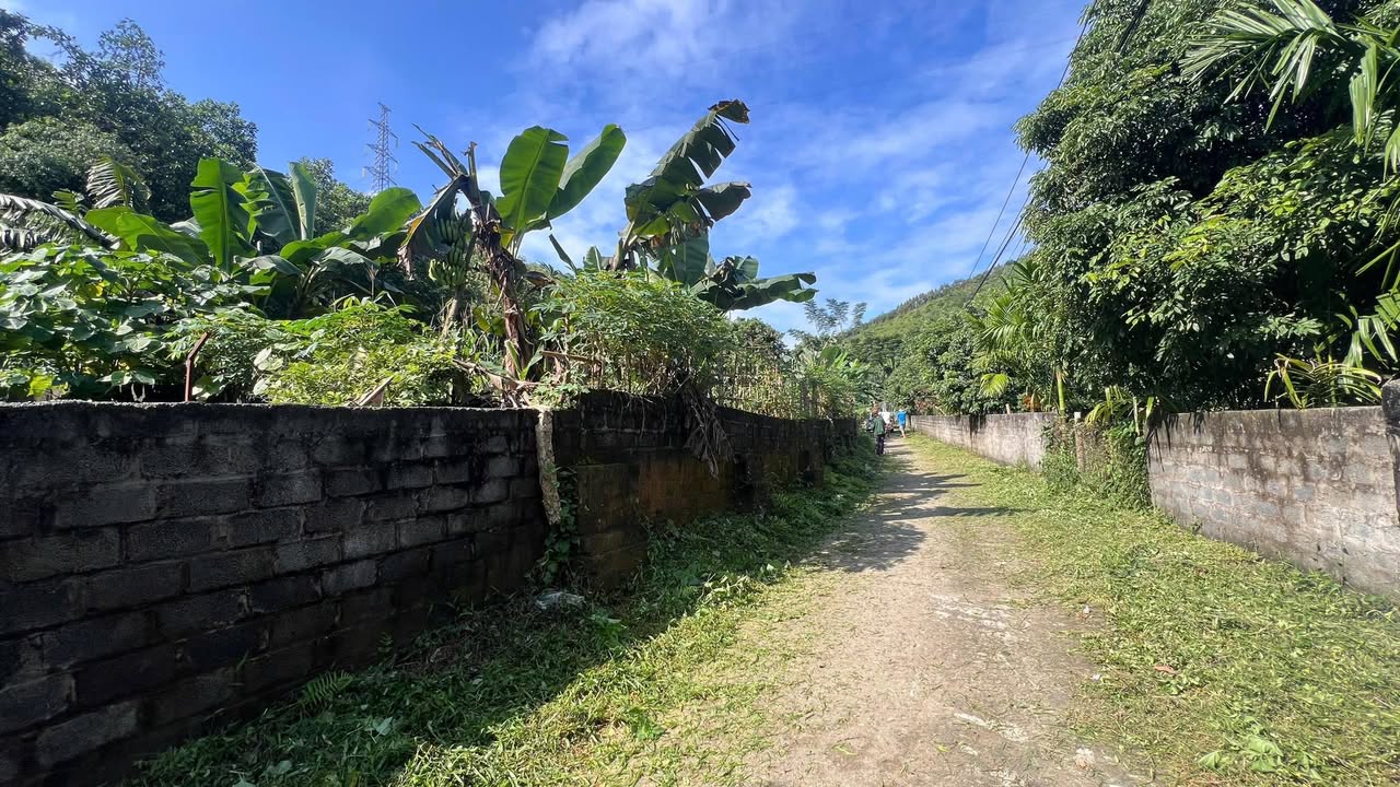 Đất nền Yên Mông 1,6ha giá chỉ 3 tỷ - Đầu tư sinh lời ngay!