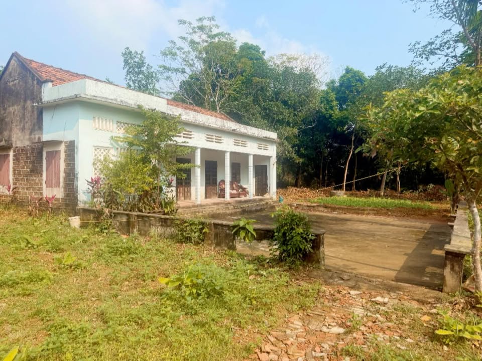 Đất Vân Hòa Ba Vì 3500m² giá 21 tỷ - Đầu tư sinh lời, hướng Đông mát mẻ!