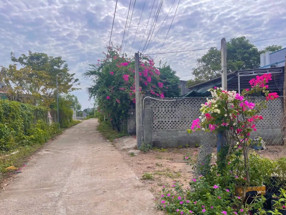 Đất nền 1800m² Lê Minh Công, Phước Hội - Gần bãi biển, sổ đỏ chính chủ!