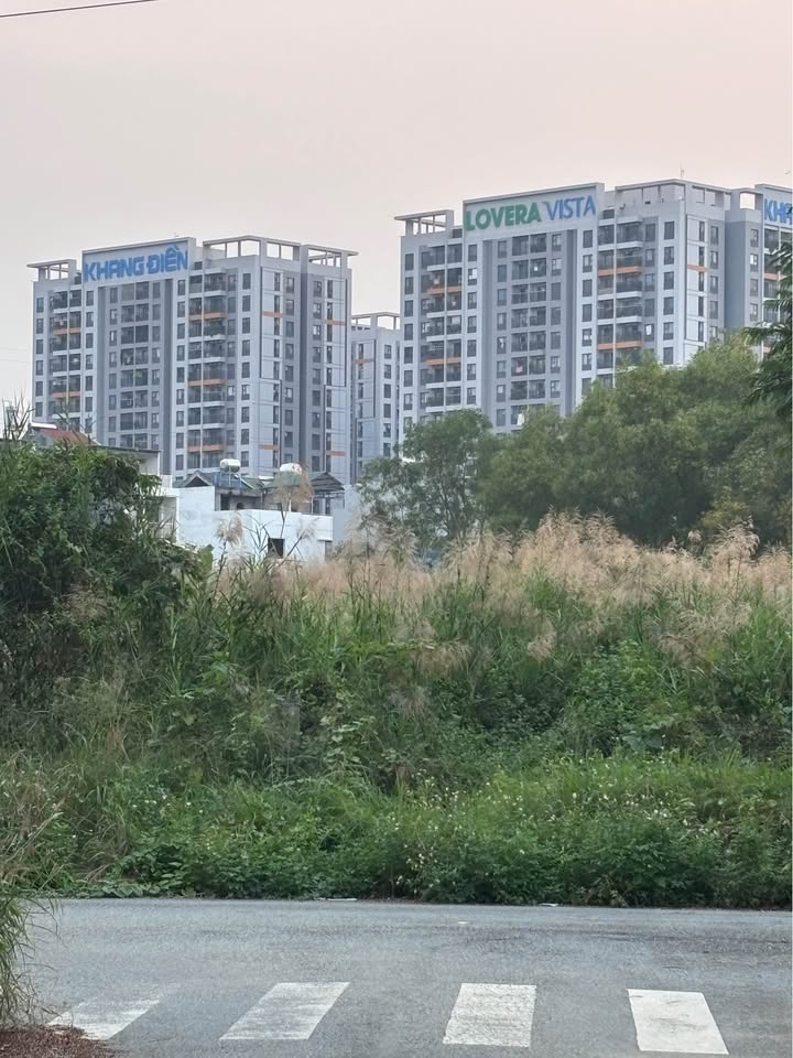 Đất nền Bình Chánh 100m² giá 5.9 tỷ - Sổ hồng chính chủ, công chứng nhanh!