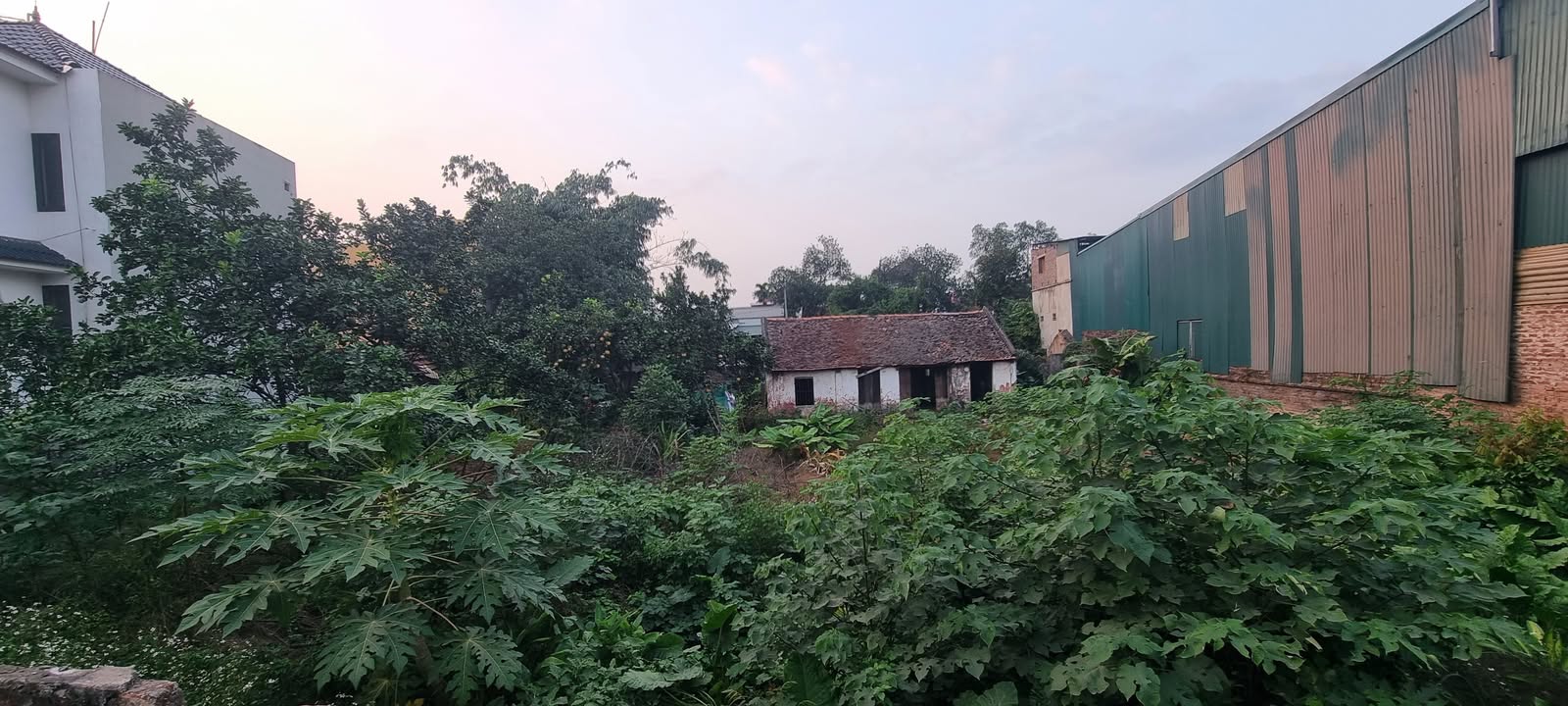 Đất nền 912m² tại Việt Hùng, Đông Anh - Đầu tư sinh lời tuyệt vời!