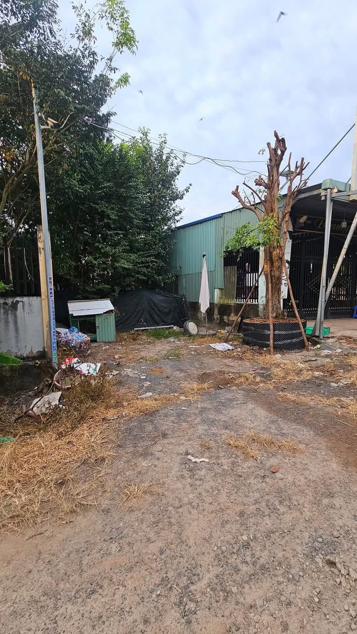 Đất thổ cư 100m² tại Hội Nghĩa, Tân Uyên - Giá chỉ 2.15 tỷ, bớt lộc!