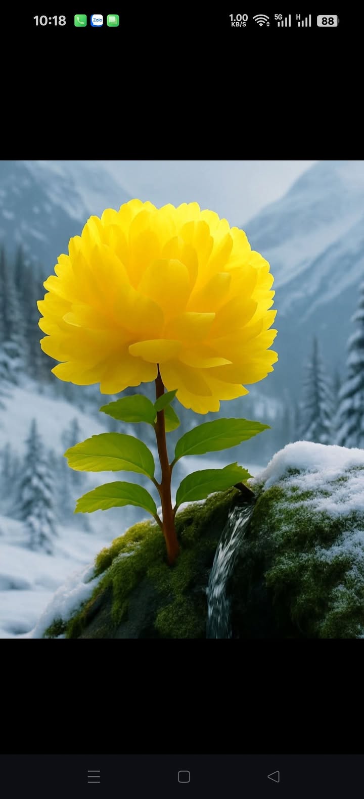 Đất thổ cư 104m² tại Phú Hòa, Thủ Dầu Một - Giá chỉ 1.75 tỷ VND!