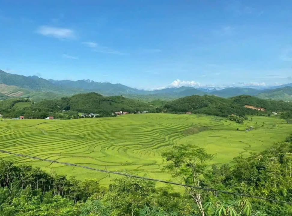 Đất nền Lai Đồng Tân Sơn 1360m² giá 600 triệu - Đầu tư lý tưởng cho nghỉ dưỡng!