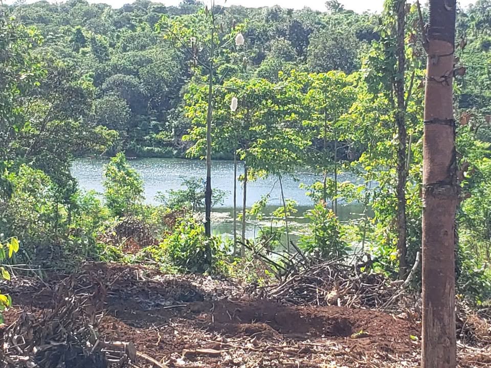 Đất thổ cư 6500m² tại xã Ea Kiết, Đắk Lắk - Giá 1.699 tỷ - Sổ đỏ chính chủ!