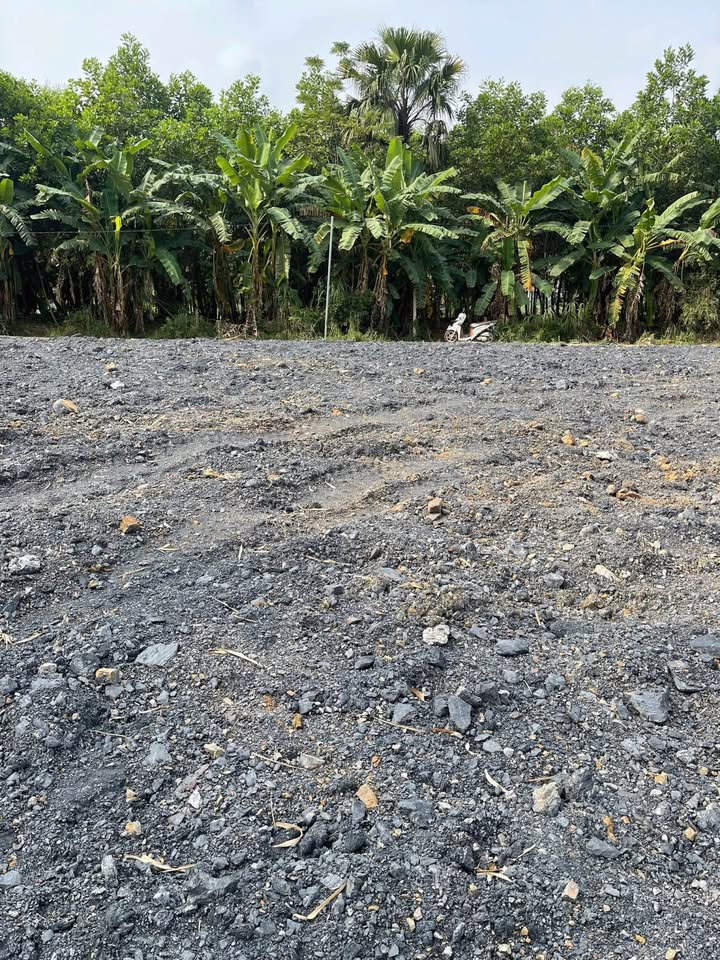 Đất nền Thục Luyện Thanh Sơn 300m² - Đầu tư sinh lời hấp dẫn!