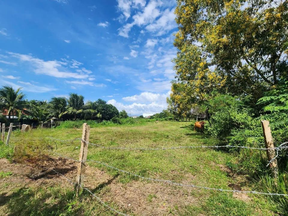 Đất nền Ninh Điền - Ninh Hòa 2022.9m² giá 3.5 tỷ - Tiềm năng sinh lời cao!