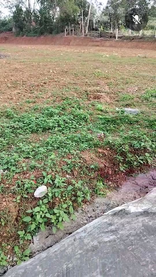 Đất lô góc 2 mặt tiền Xóm 1, Đông Sơn, 189m² giá chỉ 500 triệu - Cơ hội đầu tư tuyệt vời!