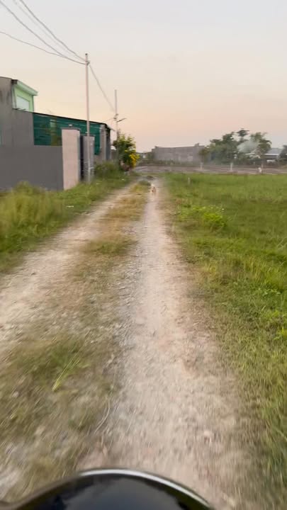 Đất nền ấp Mới 1, xã Mỹ Hạnh Nam, 150m² giá 970 triệu - Đường ô tô vào tận nơi!