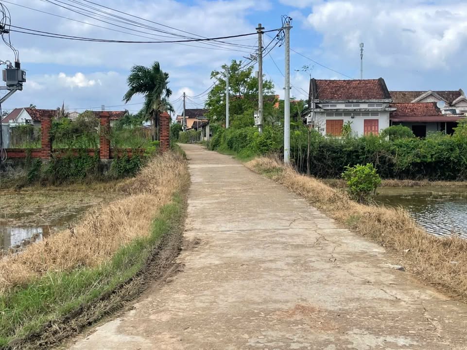 Đất Tây Vinh, Tây Sơn 270m² giá thỏa thuận - Mặt tiền đường bê tông, không khí trong lành!