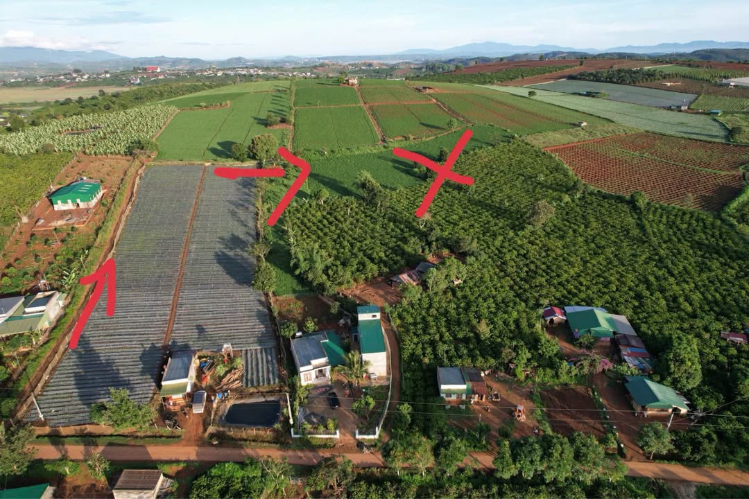 Đất nền 8000m² tại Tà Hine, Đức Trọng - Giá thỏa thuận, phù hợp đầu tư!