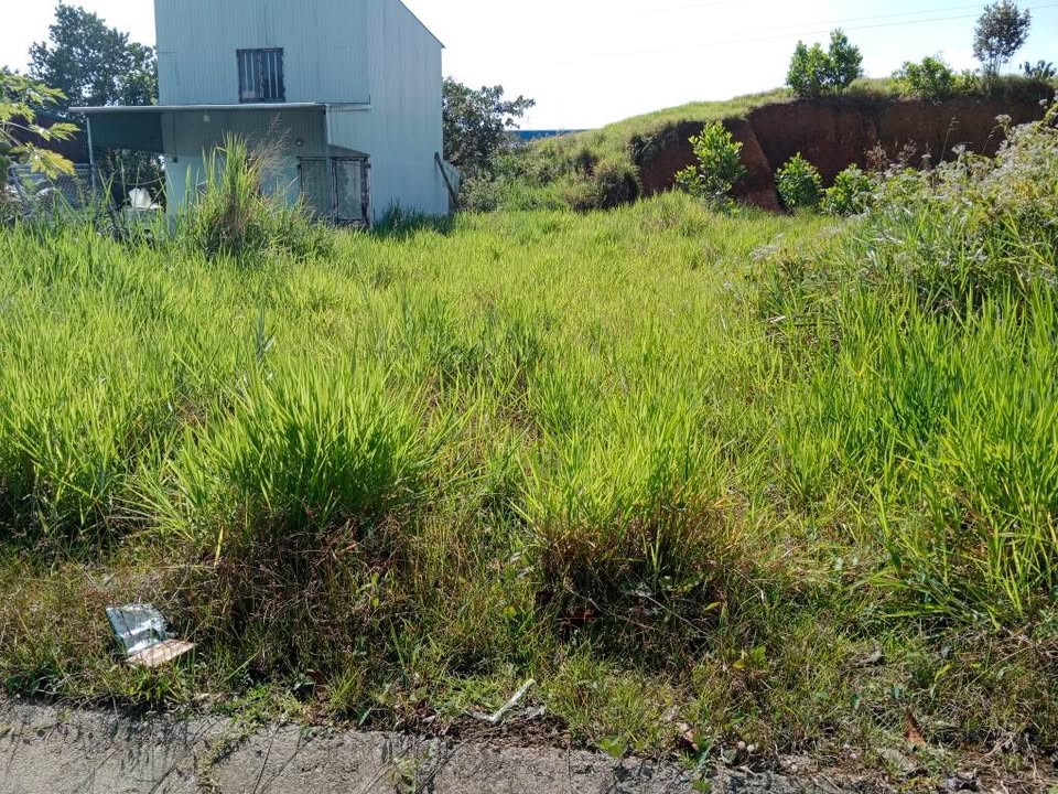 Đất nền Capital Lộc Sơn, Bảo Lộc 150m² giá 1.55 tỷ - Nơi an cư lý tưởng!