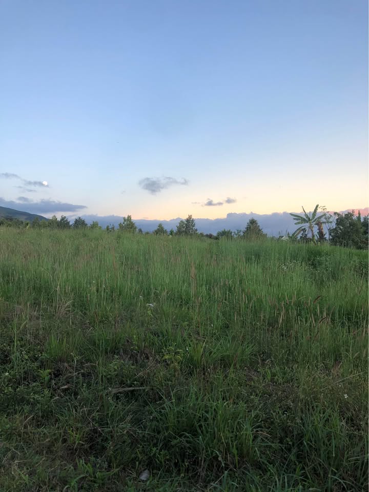 Đất nền 1000m² tại xã Hiệp Thạnh, Đức Trọng - Giá chỉ 1.75 tỷ - Sổ hồng chính chủ!