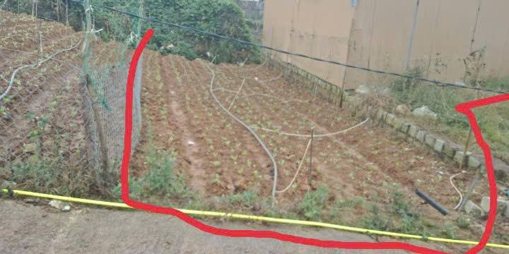 Đất nông nghiệp Lâm Viên Đà Lạt 64m² giá 1.7 tỷ - Sổ hồng chính chủ