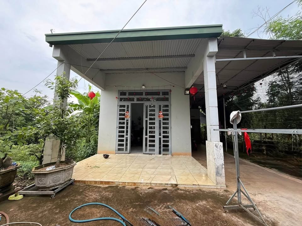 Đất vườn 1 sào 4 tại Tân Phú, Đồng Nai - Giá chỉ 1.8 tỷ, sổ hồng đầy đủ!