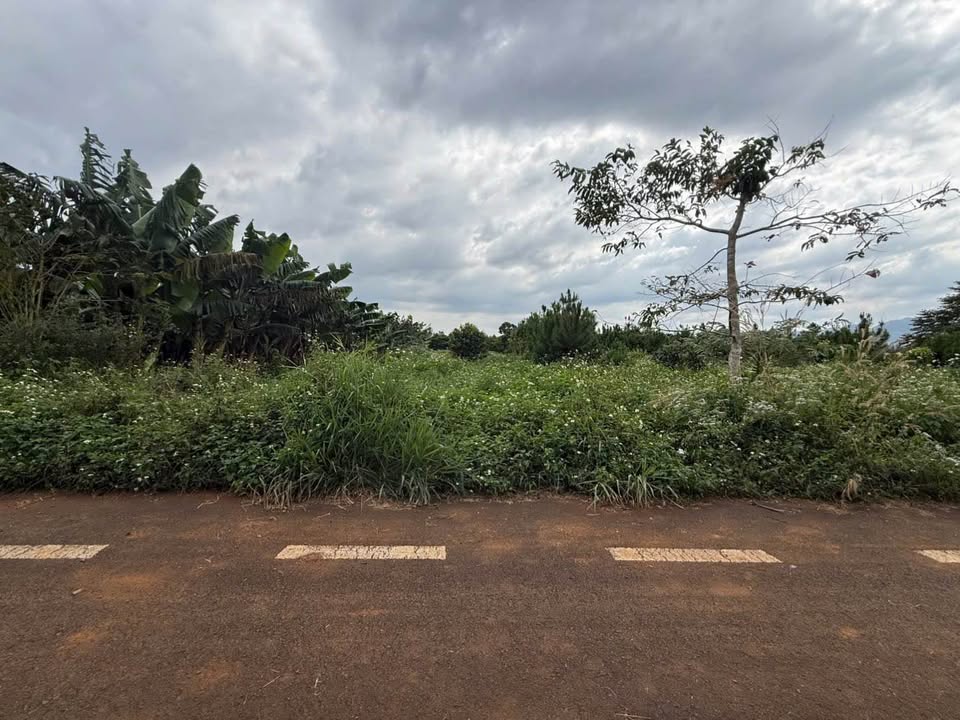 Đất nền B'Lao Bảo Lộc 594m² giá chỉ 998 triệu - Cơ hội đầu tư lý tưởng!