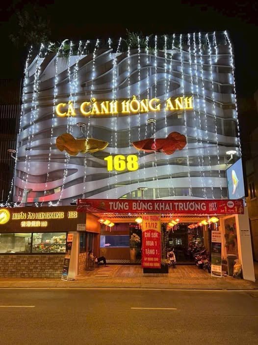 Nhà góc 2 mặt tiền Đào Duy Anh, Phú Nhuận 181.5m² giá 75 tỷ - Cơ hội đầu tư sinh lời!