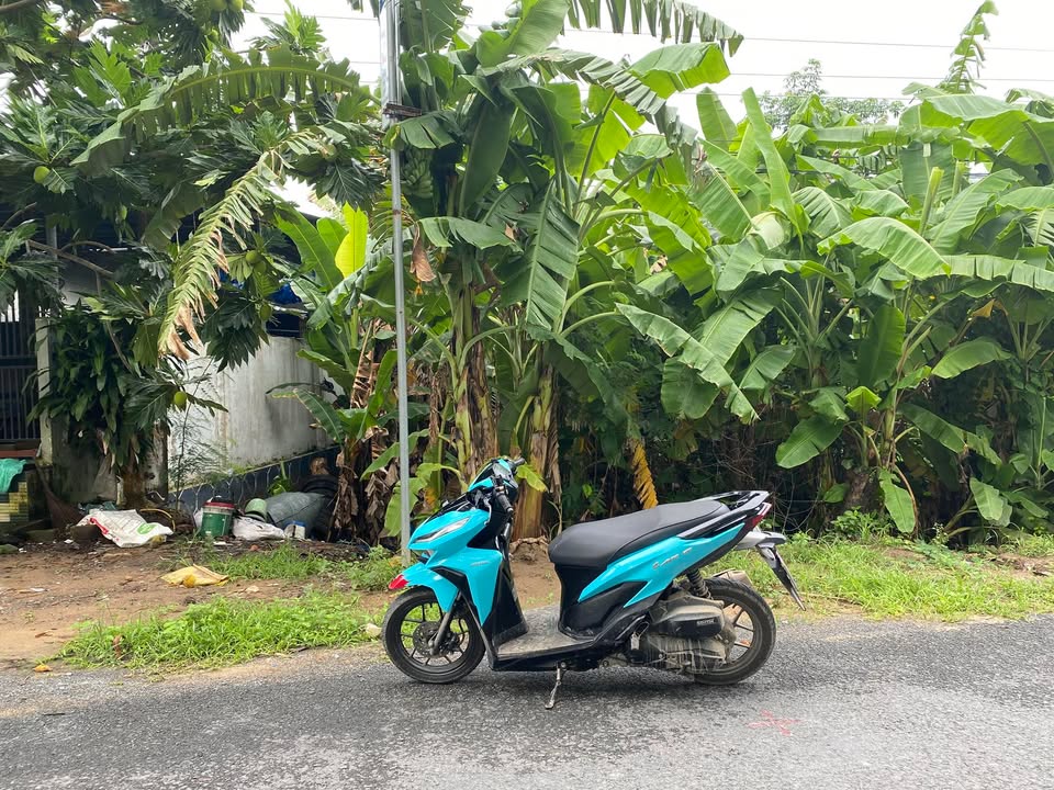 Đất nền mặt tiền đường 915, xã An Phú Tân, huyện Cầu Kè, 700m² - Cơ hội đầu tư sinh lời!