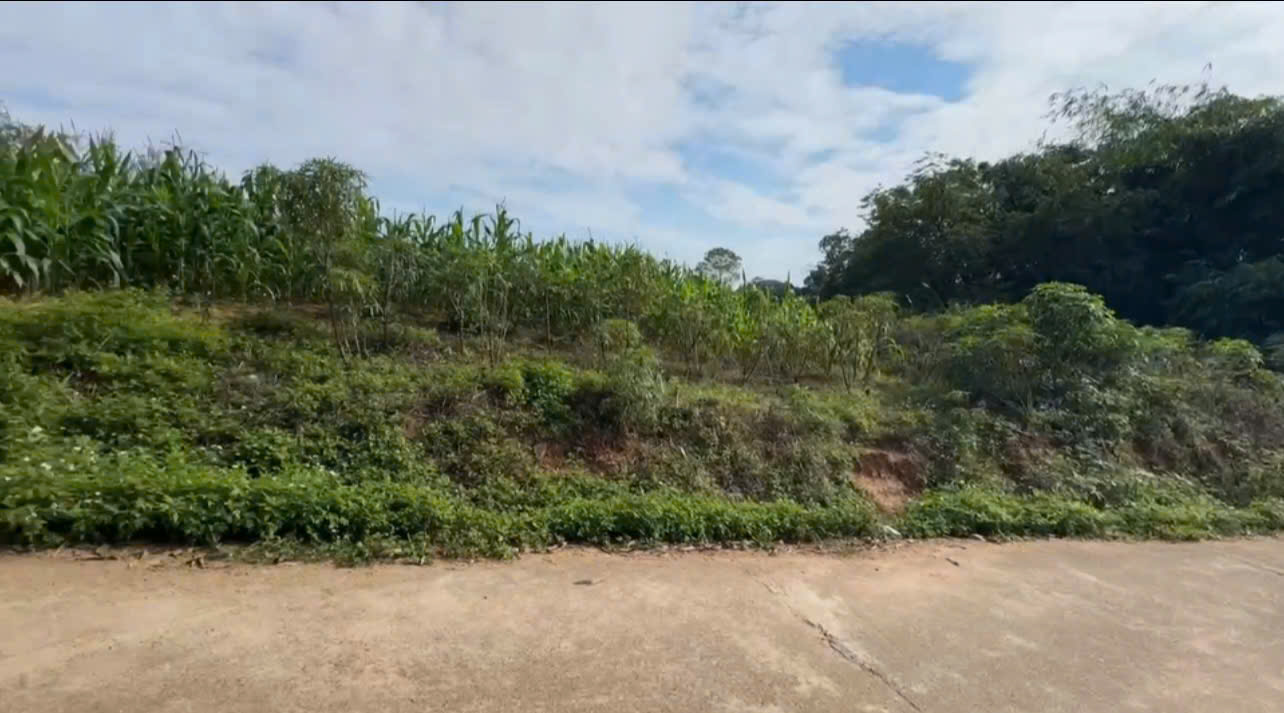 Đất nền 97m² Thanh Đình, Việt Trì chỉ 700 triệu - Tiềm năng đầu tư lớn!