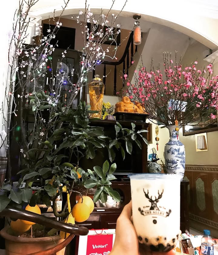 Nhà cho thuê tại Hoàng Mai, 32m² giá 11.5 triệu - Sẵn sàng cho hộ gia đình!