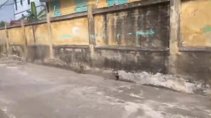 Đất nền Quất Lâm 150m² giá 1 tỷ - Hướng Nam, chính chủ bán gấp!