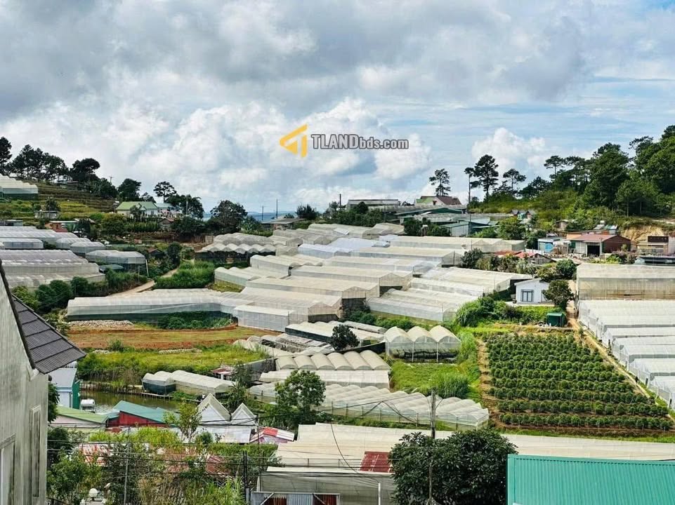 Đất thổ cư 278.72m² hẻm ô tô lớn đường Vạn Thành, Đà Lạt - Sổ riêng chính chủ giá 7 tỷ!