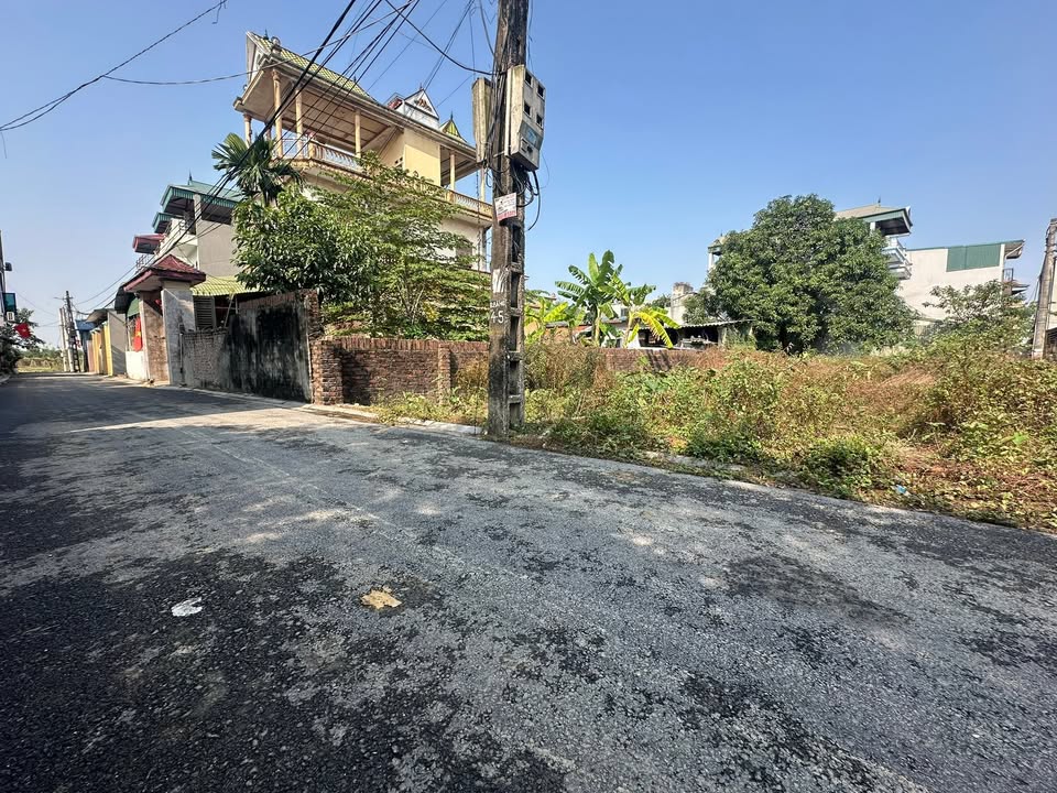 Đất Phúc Thịnh - Đông Anh 45m² chỉ 3.4 tỷ - Sổ hồng chính chủ, ô tô vào tận nơi!