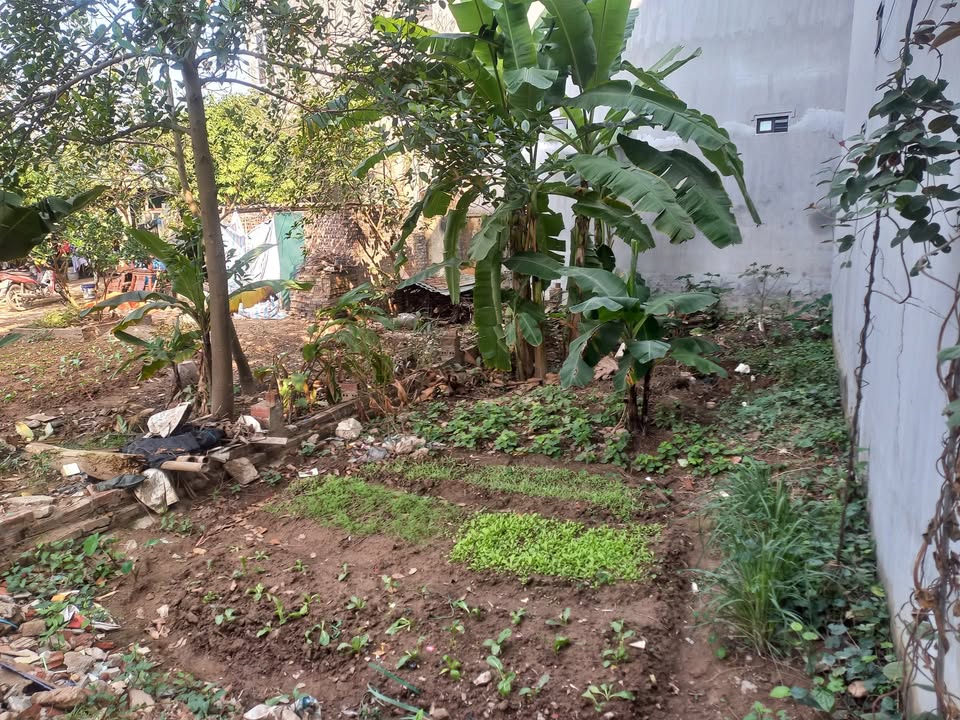 Đất thổ cư Mai Lâm Đông Anh 60m² giá 4 tỷ - Pháp lý rõ ràng, sẵn sàng xây dựng!