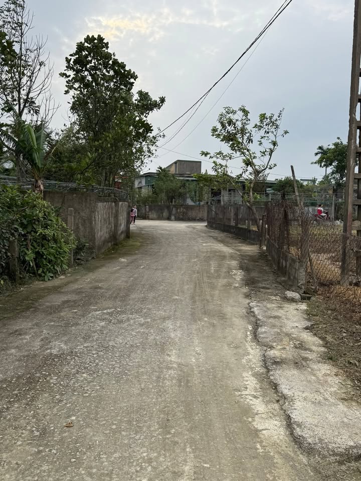 Đất thổ cư Thạch Thắng 195m² giá chỉ 600 triệu - Đường bê tông 7m thông thoáng!