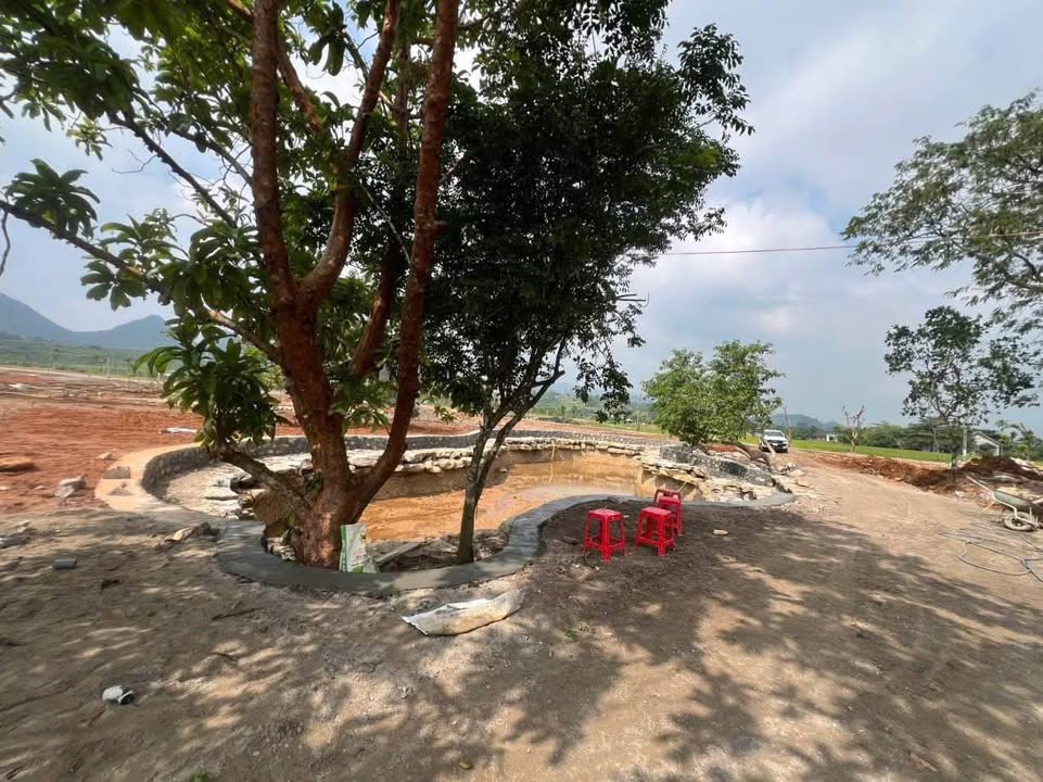 Đất nền mặt đường Đại Lộ Đông – Tây, Kỳ Phú 10.650m² giá 23 tỷ - Tiềm năng phát triển du lịch mạnh mẽ!