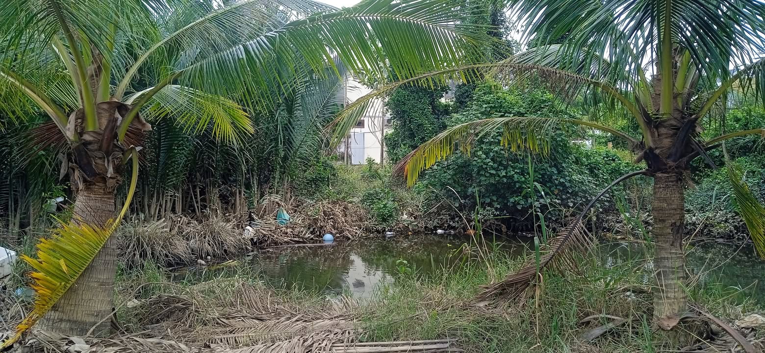 Đất nền 540m² tại Hội An giá 8.5 tỷ - Tiềm năng đầu tư lớn!