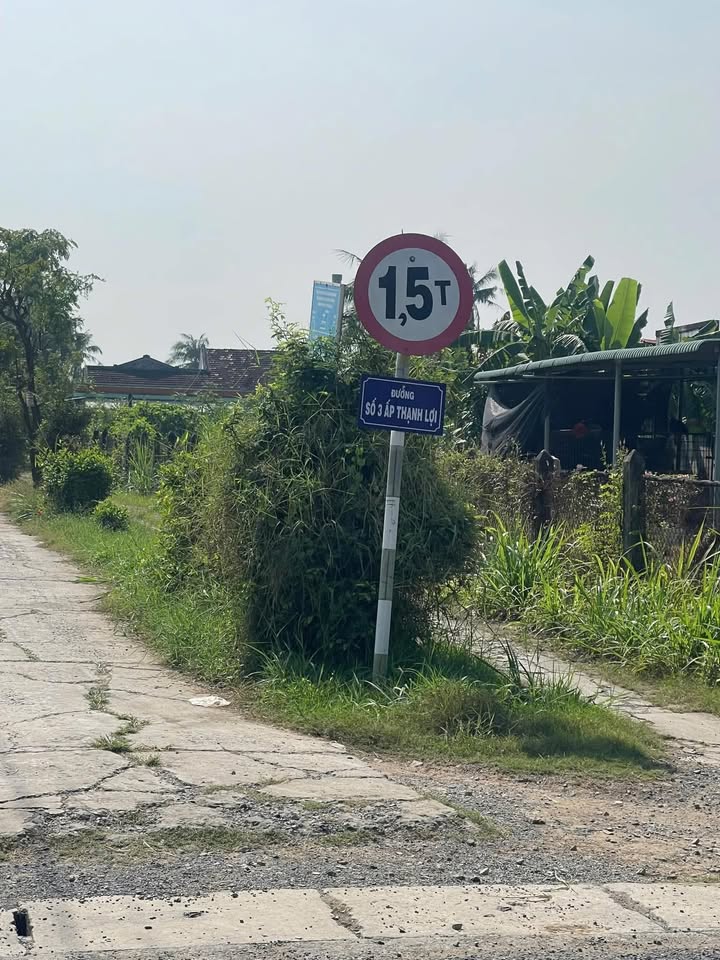 Đất trồng cây lâu năm 500m², Gò Công Tây, chỉ 350 triệu - Cơ hội đầu tư hấp dẫn!