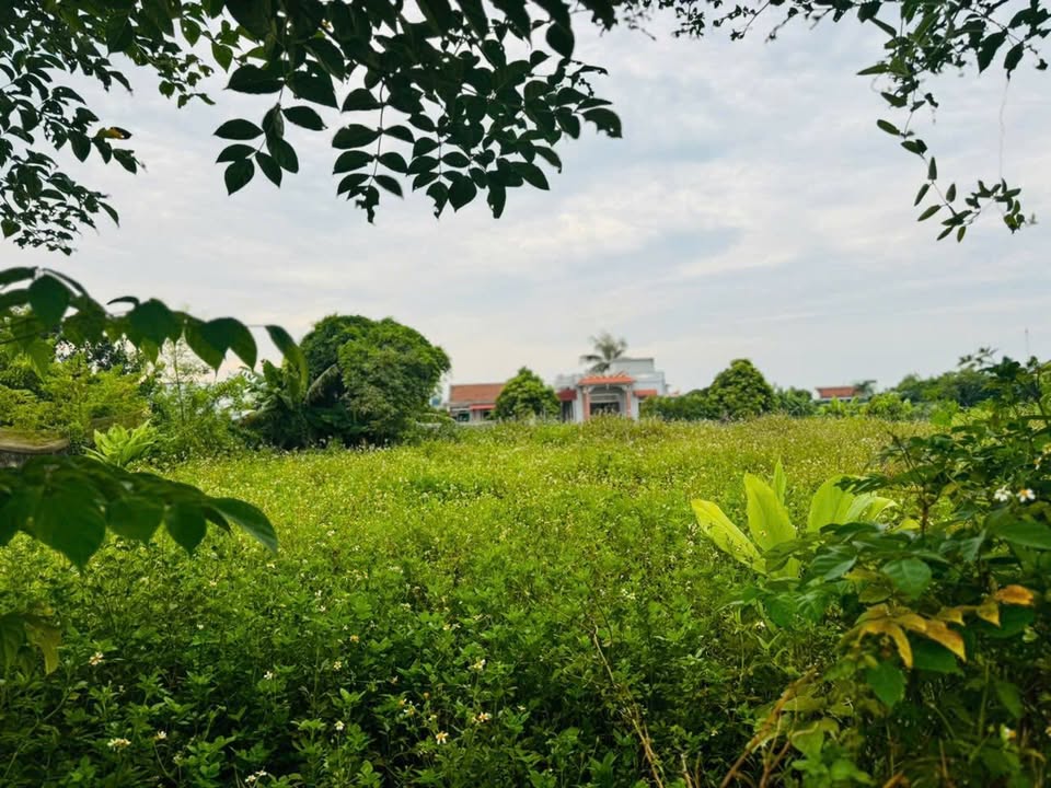 Đất thổ cư Giao Hà 115m² giá 820 triệu - Cơ hội đầu tư tuyệt vời!