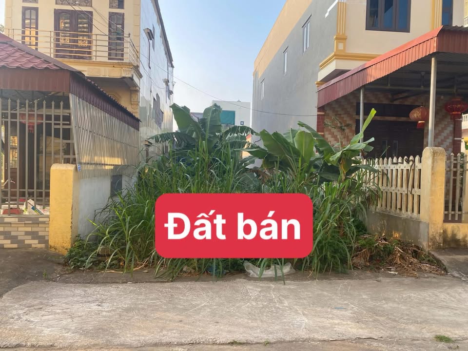 Đất nền Quất Lâm 150m² giá 1 tỷ - Gần trường cấp 2 và sân vận động!