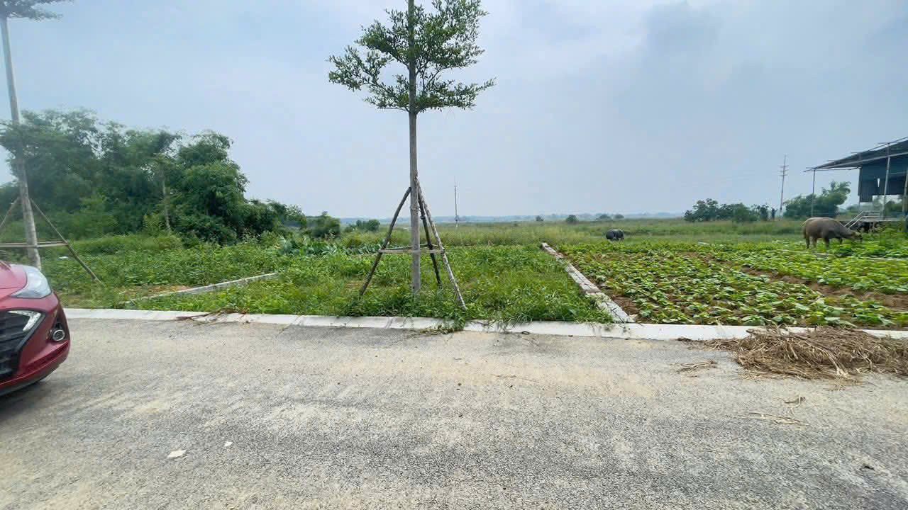 Đất nền thổ cư xã Phú Cát 100m² giá chỉ 3.05 tỷ - Cơ hội đầu tư tuyệt vời!