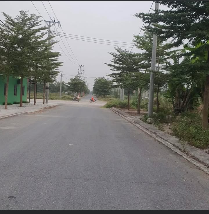 Đất nền Gia Vượng 115m² giá 1.5 tỷ - Cách đường 3 Sao chỉ 30m!