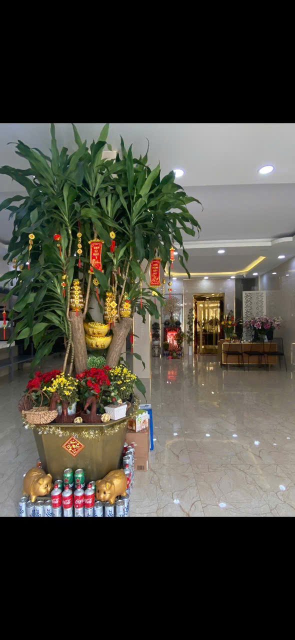 Cho thuê nhà mặt tiền Nguyễn Lâm, Quận 10, 135m² giá 60 triệu - Nhà mới đẹp, vào sử dụng ngay!