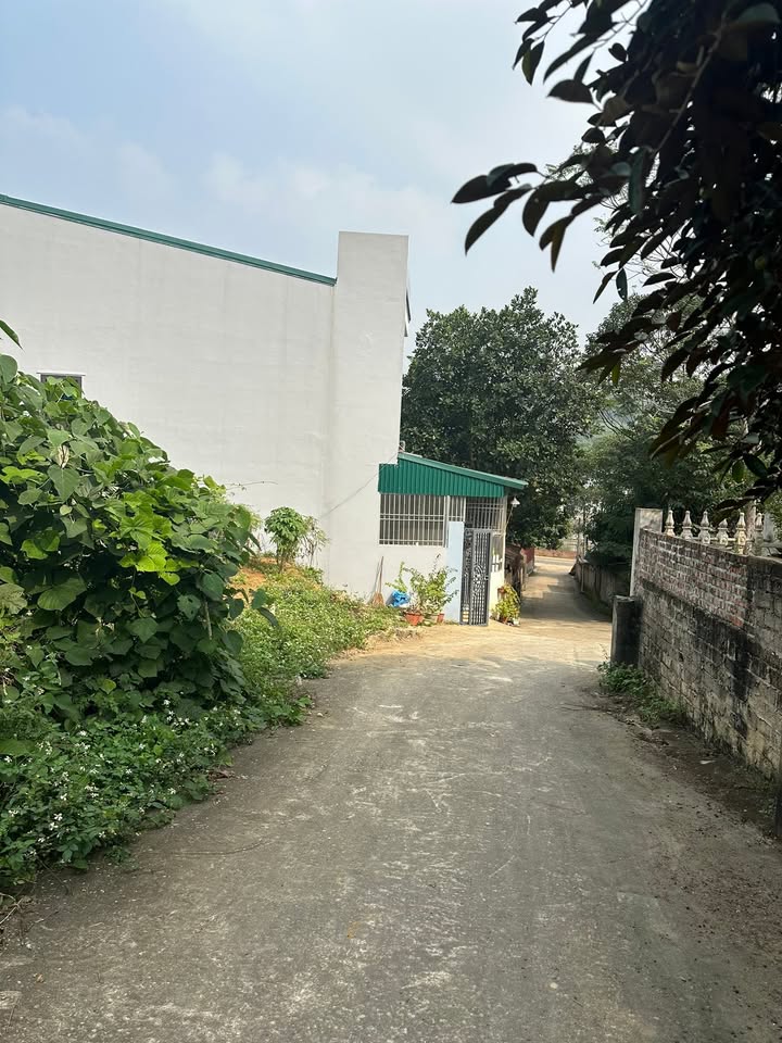 Đất nền Phú Hộ 120m² giá 1.1 tỷ - Vị trí vàng đầu tư sinh lời