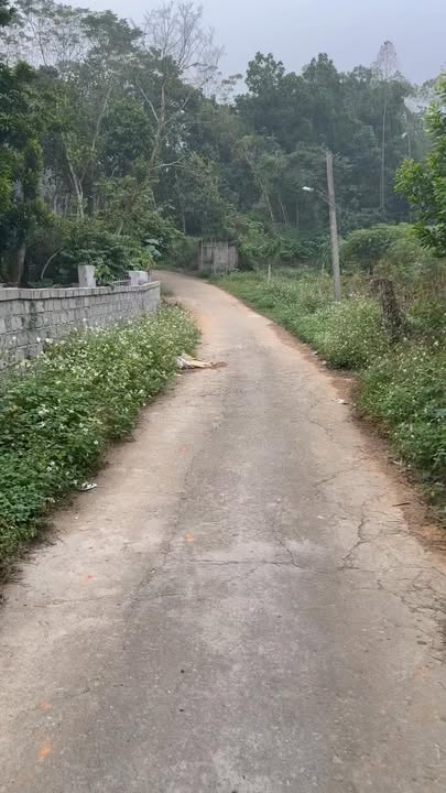 Đất nền Phú Thọ 318m² giá 1 tỷ - Đầu tư tiềm năng gần KCN