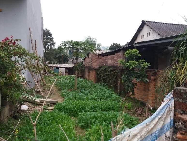 Đất chính chủ 128,4m² tại Bản Lằng Đề Thám, Thục Phán - Giá chỉ 900 triệu!