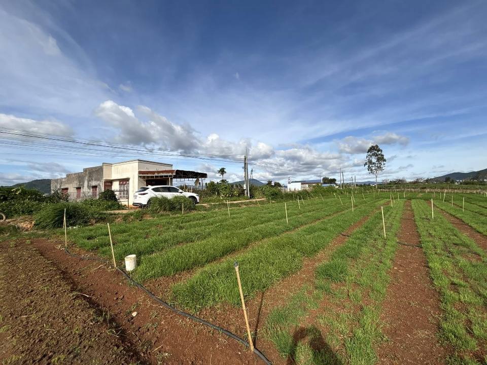 Đất nền Nghĩa Hiệp - 225m² giá 1.65 tỷ - Cơ hội cuối cùng!