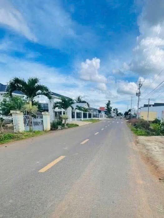 Đất nền mặt đường Tân Phú, Tân Hội 550m² giá 3.1 tỷ - Khu dân cư đông đúc, buôn bán sầm uất!