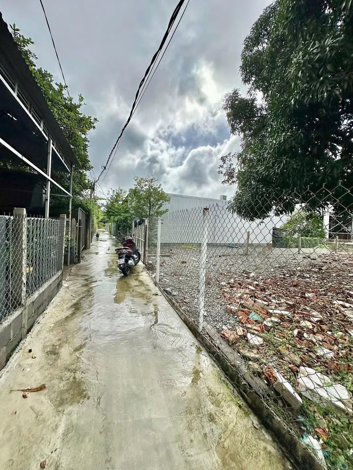 Đất thổ cư 252m² tại TDP Thuận Phát Cam Linh - Giá chỉ 2.8 tỷ!