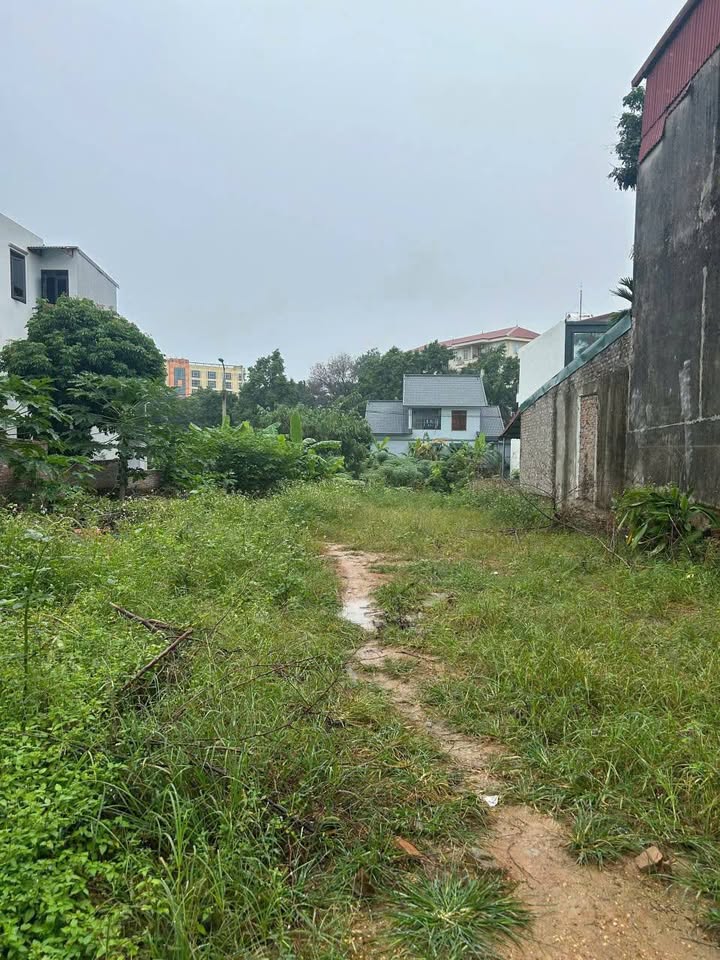 Lô đất thổ cư Kim Long, Vĩnh Phúc 146,3m² - Vị trí vàng, tiềm năng sinh lời cao!