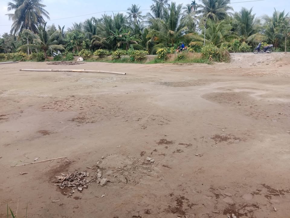 Đất thổ cư Tân Long Hội, Vĩnh Long 136m² giá 320 triệu - Cơ hội đầu tư sinh lời!