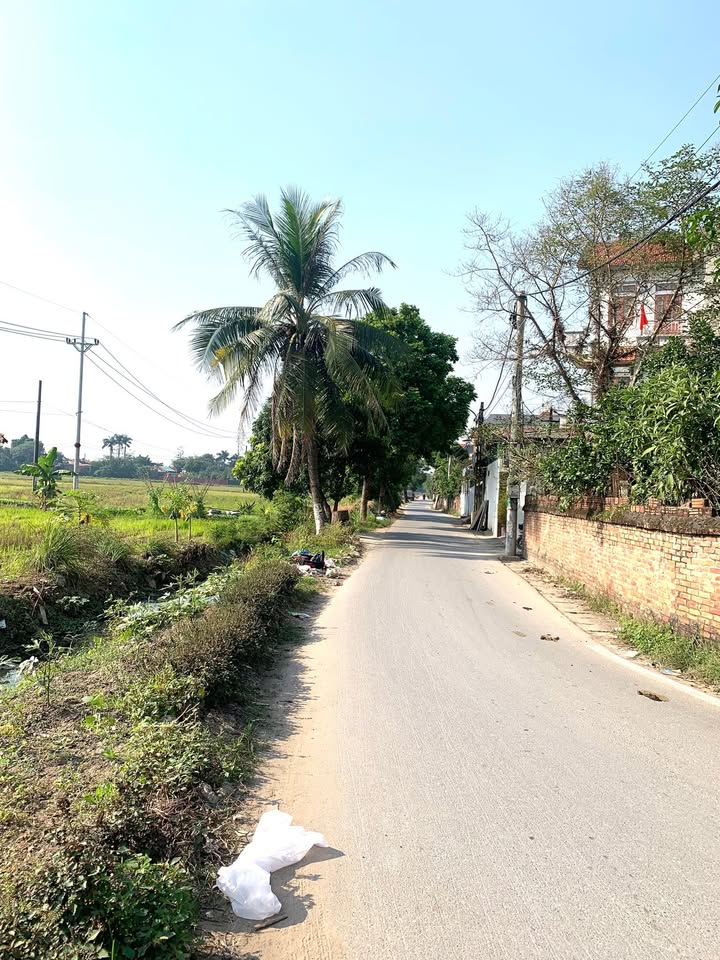 Đất thổ cư 100m² Kim Nỗ, Đông Anh - Vị trí đẹp tiềm năng đầu tư