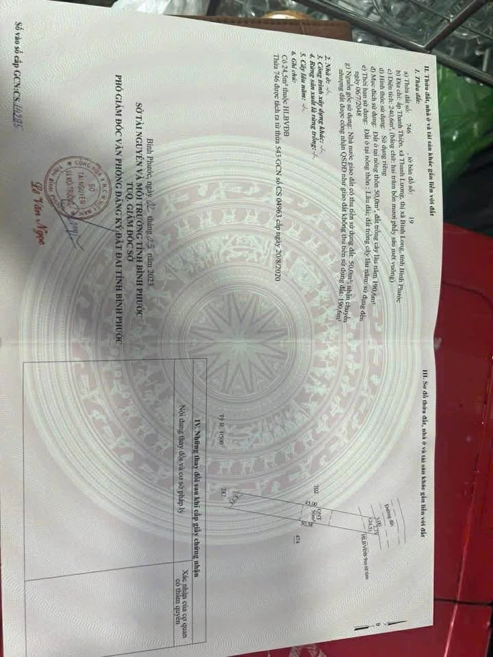 Đất mặt tiền đường nhựa An Lộc 250m² chỉ 350 triệu - Đầu tư sinh lời ngay!