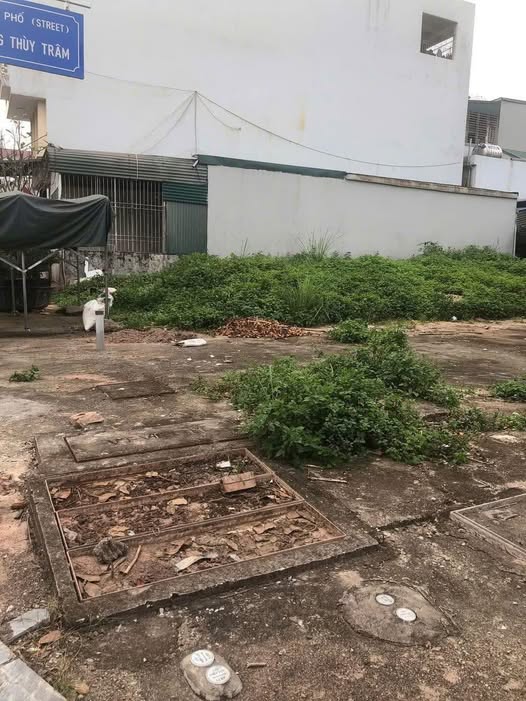 Đất nền góc đường Hải Yên, Móng Cái 85m² giá 4 tỷ - Cơ hội đầu tư tuyệt vời!