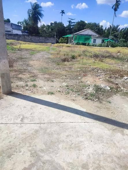 Đất thổ cư 189m² tại Nhị Thành, Thủ Thừa - Giá chỉ 740 triệu, cơ hội đầu tư lý tưởng!